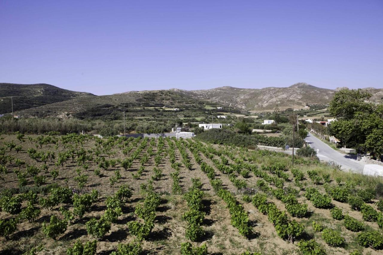 Villa Stelianna Εγκαρές Εξωτερικό φωτογραφία